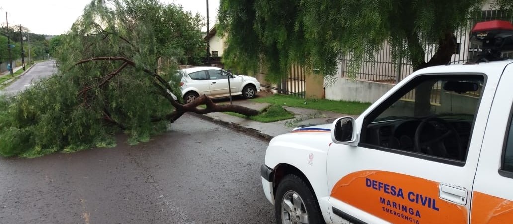 Chuva provoca estragos em Maringá e na região