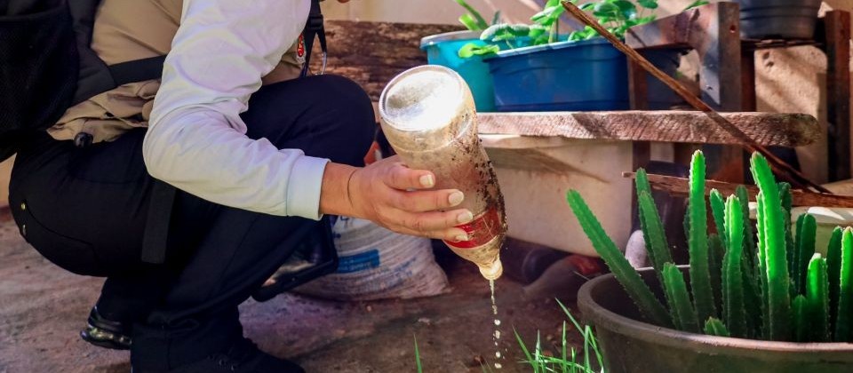 Sábado de mutirão contra a dengue em Maringá