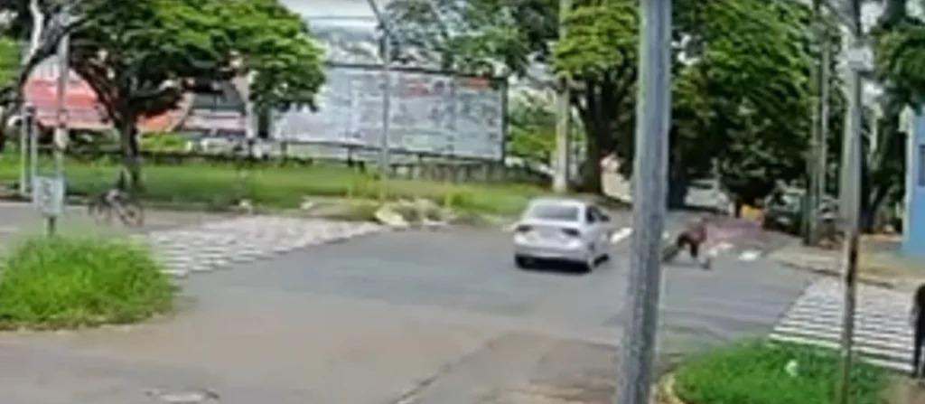 Ciclista avança sinal e provoca acidente na Avenida Colombo, em Maringá; vídeo