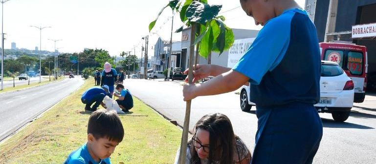 Projeto prevê o plantio de uma árvore a cada criança nascida em Umuarama