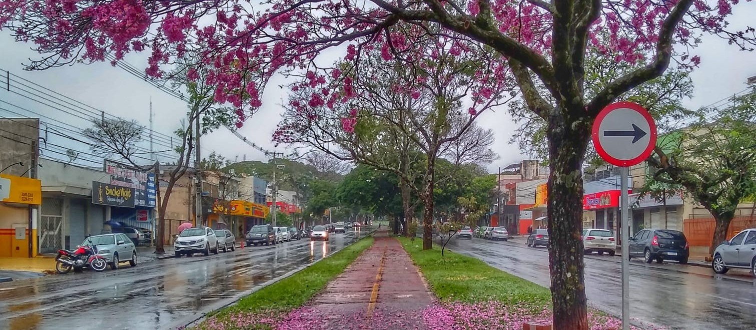 Frente fria traz chuva e frio de volta ao Paraná nos próximos dias, diz Simepar