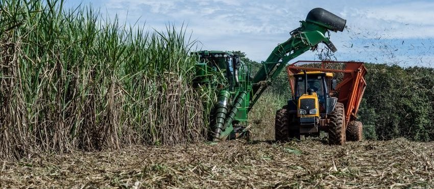 Alcopar divulga preços da cana-de-açúcar para o mês de março