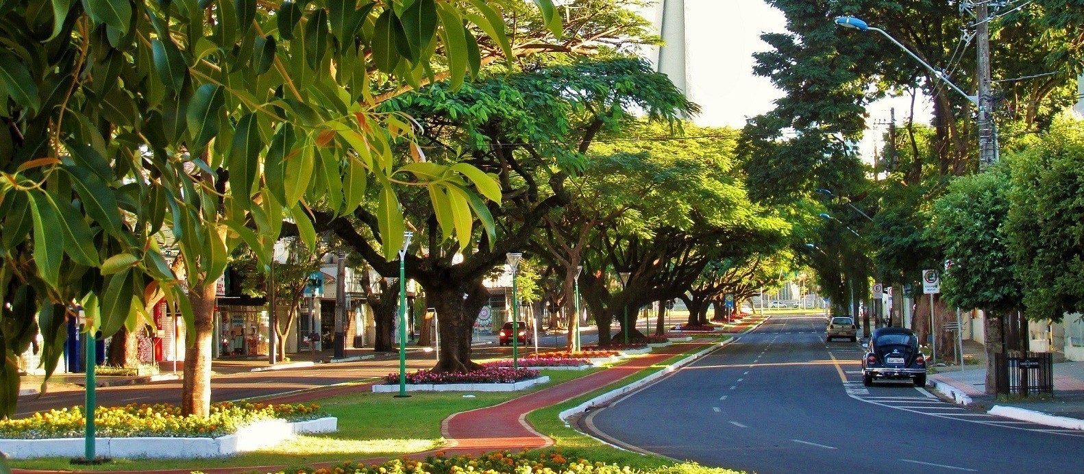 Quarta-feira (24) de sol entre nuvens e tempo seco em Maringá; veja previsão