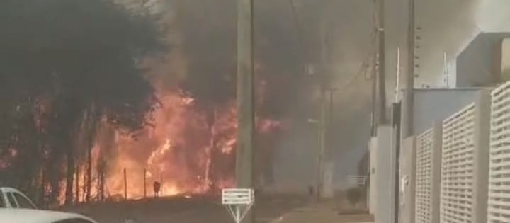  Vídeo mostra desespero de moradores durante incêndio ambiental