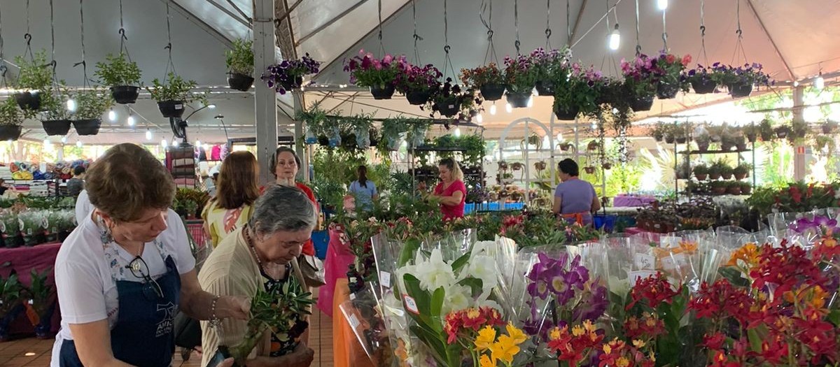 Expoflor começa em Maringá com plantas que variam de R$ 5 até R$ 2,5 mil