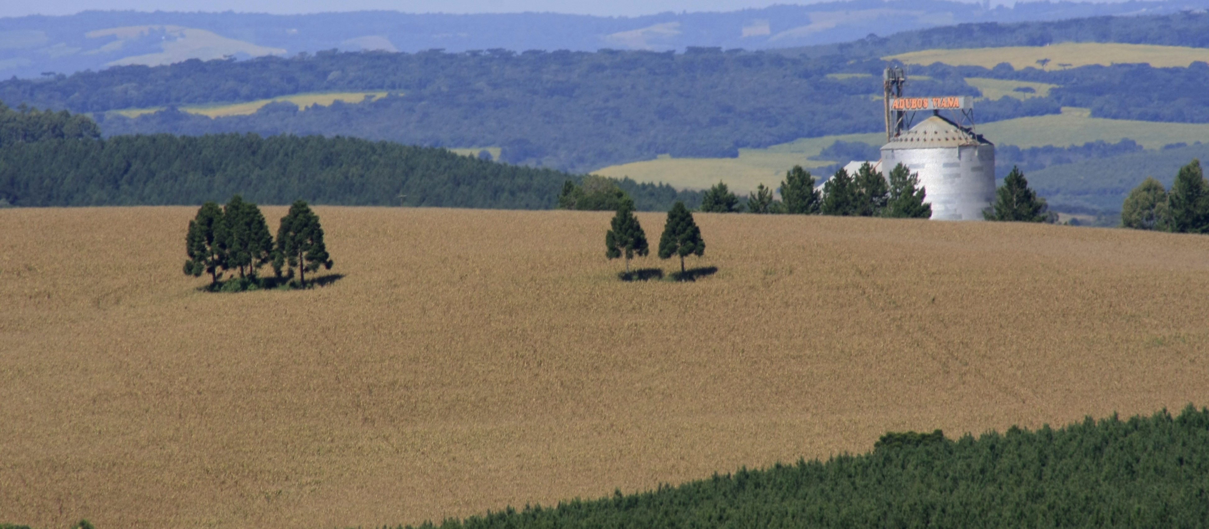 Preservação nativa em áreas rurais representa 25,6% do território nacional