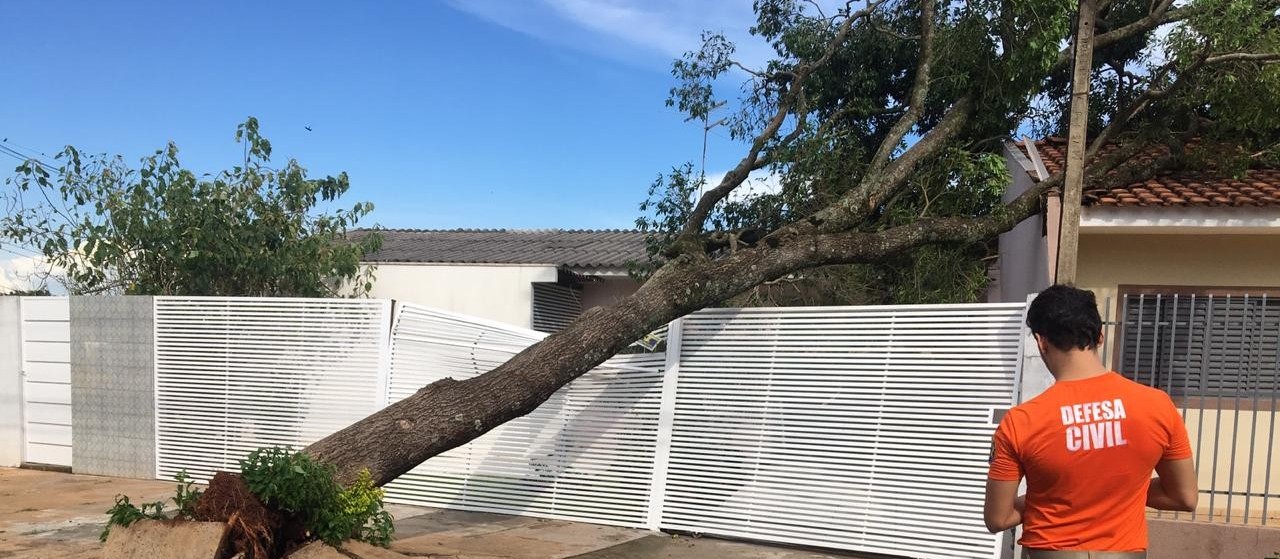 Chuva desse domingo(29) provoca queda de 15 árvores em Maringá