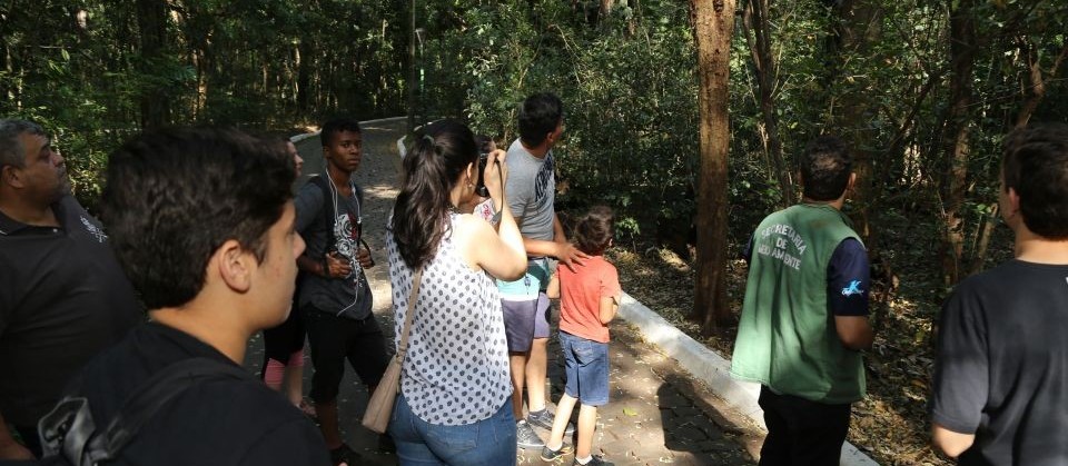 Evento de observação de aves será realizado no Parque do Ingá no domingo (22)