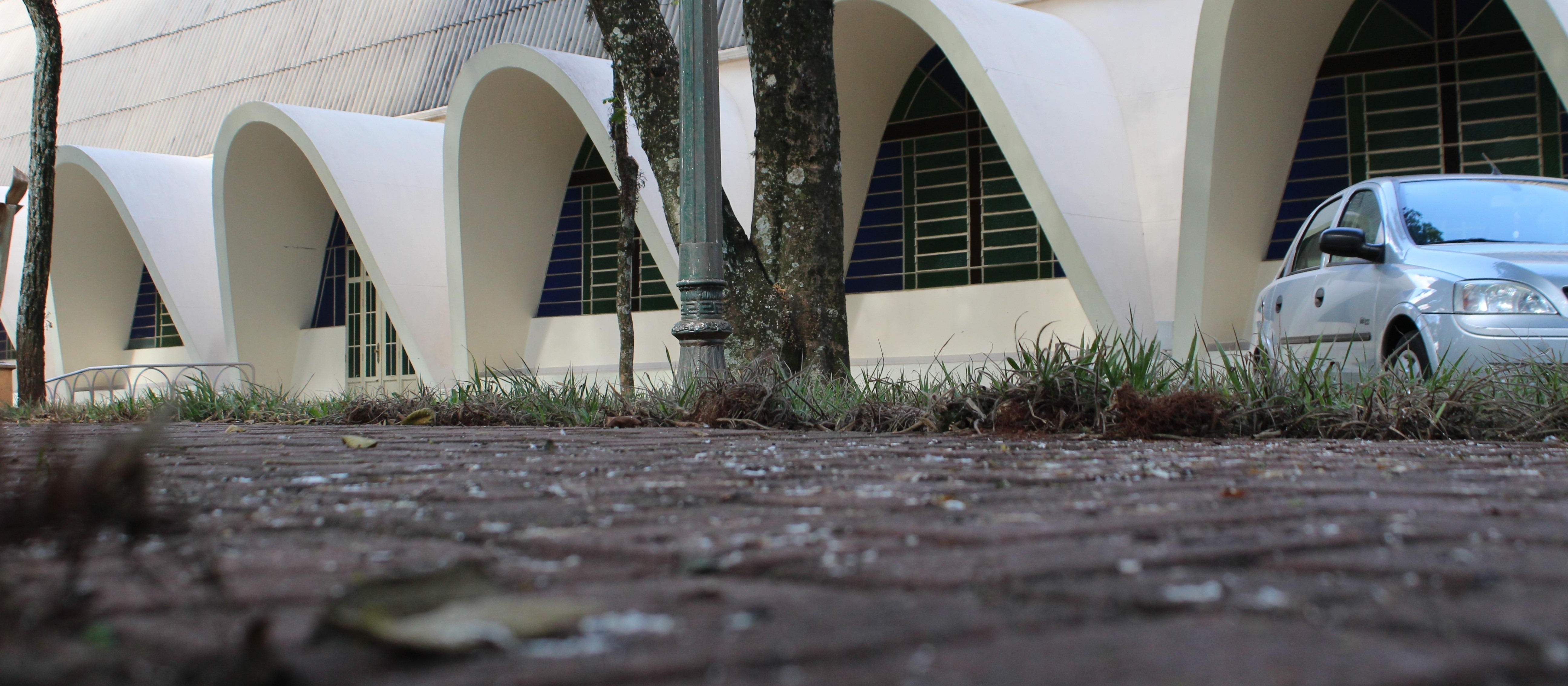 Pombos impedem igreja de fazer procissões externas em Cianorte