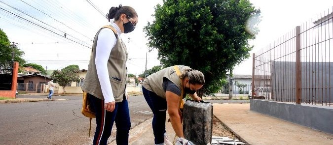 Maringá tem 54 casos ativos de dengue; limpeza é feita nos bairros com maior índice