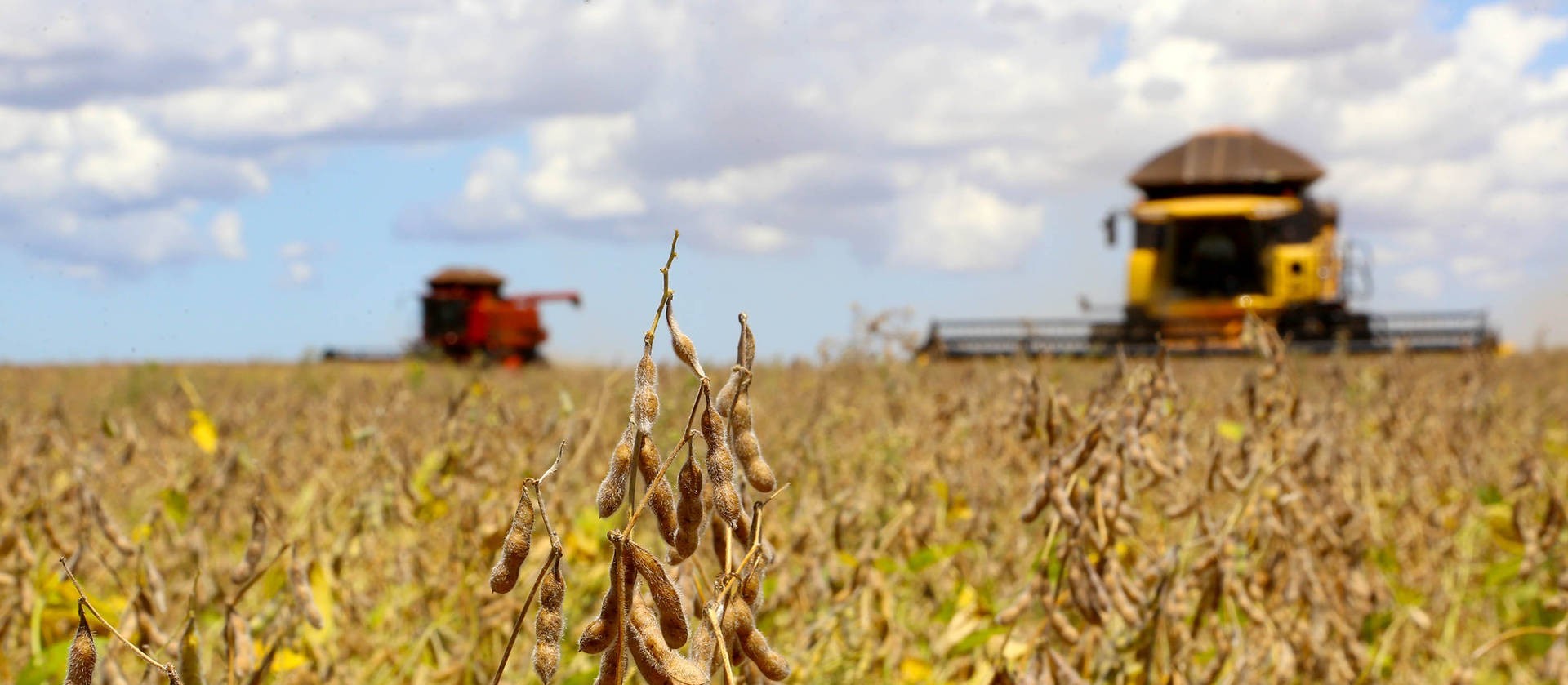 Produtores de soja do norte/noroeste preparam as máquinas para o plantio