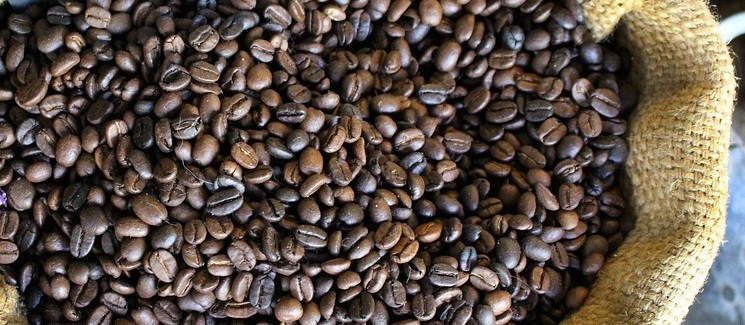 Café custa R$ 6,20 kg em Maringá