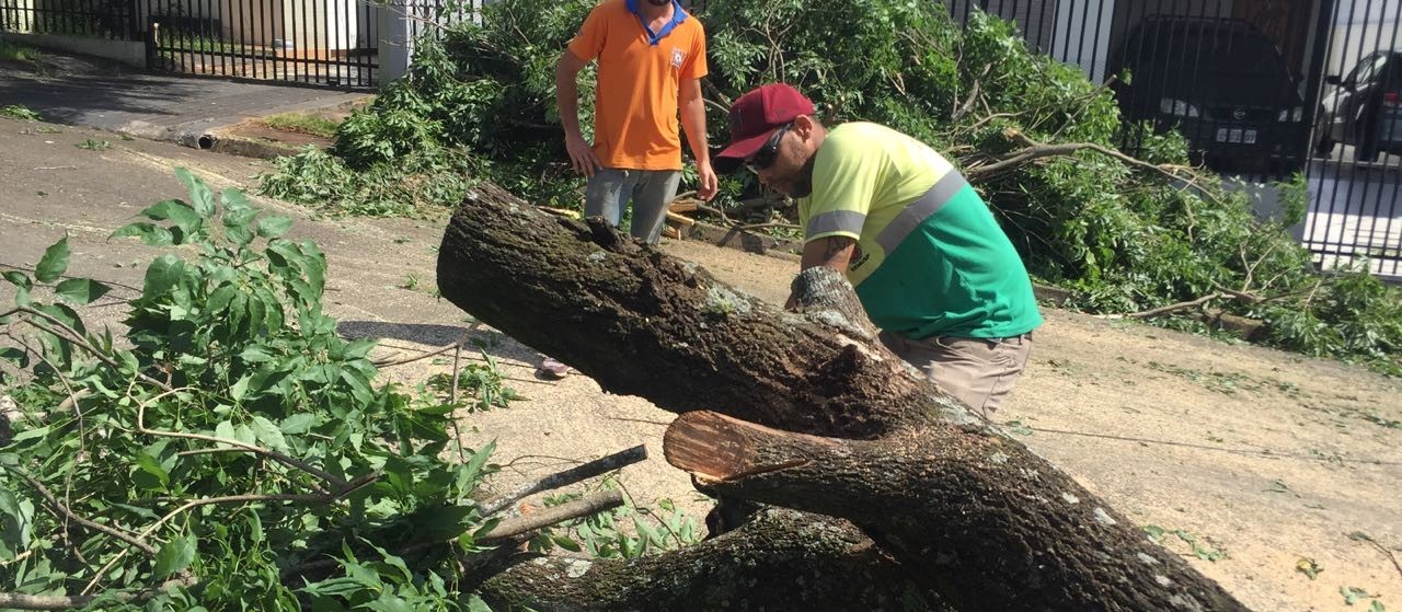 Dia de muito trabalho na limpeza da cidade