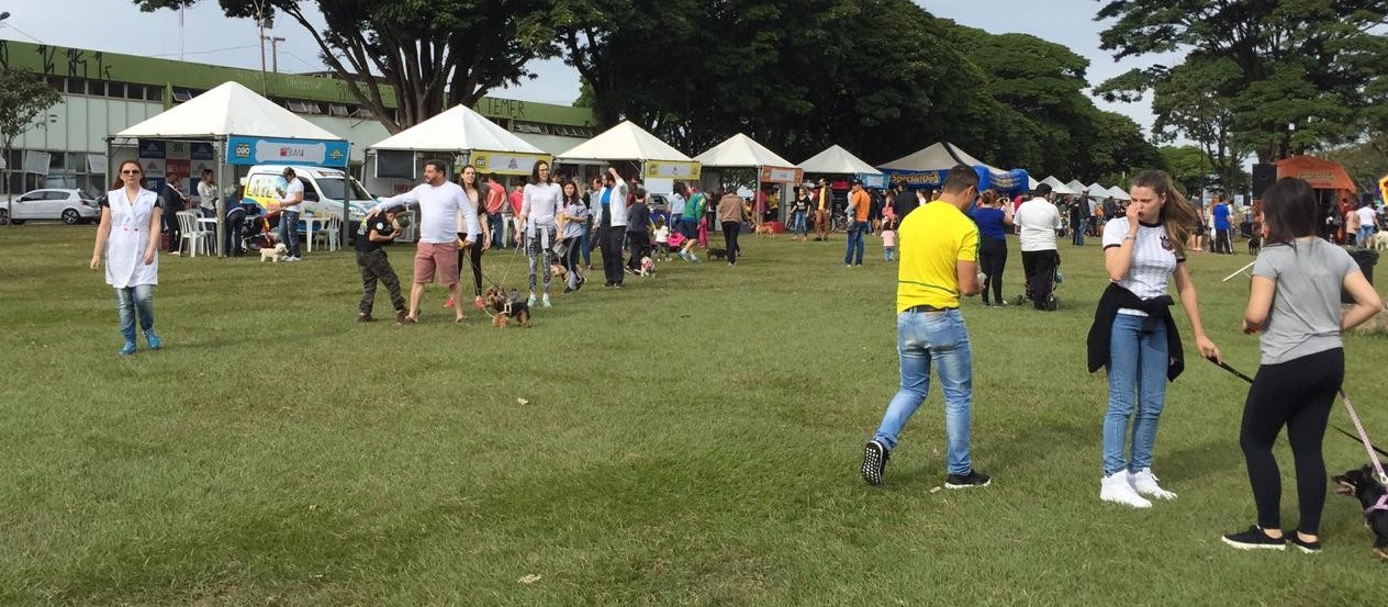 Famílias e seus cachorros aproveitam o Pet Day em Maringá