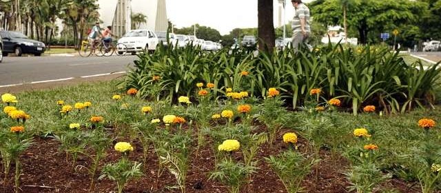 Ouvinte reclama de dificuldade para descartar resíduos de jardinagem