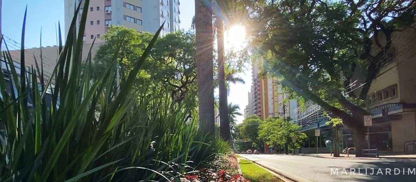 Tempo segue firme nesta terça-feira (24), com máxima de 27°C em Maringá