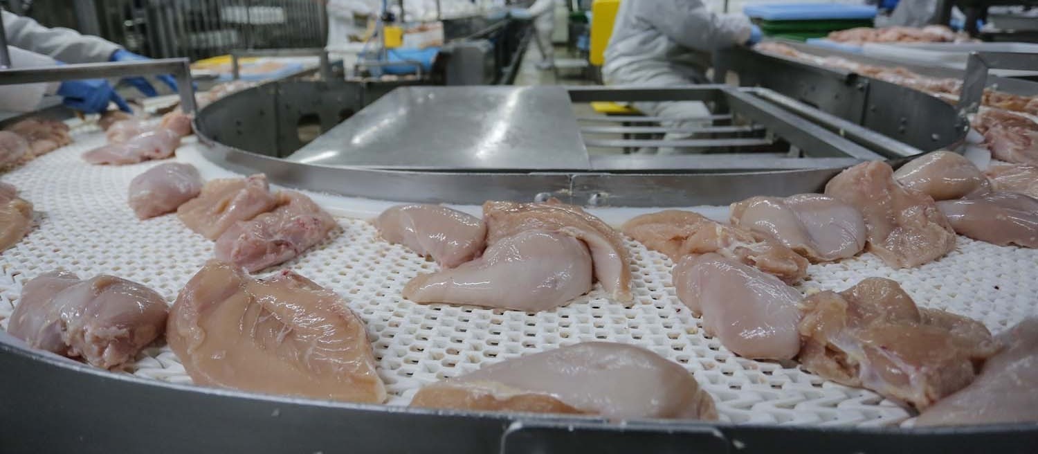 Volume de frango exportado no Brasil é o maior da história