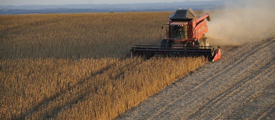 Confira as cotações agrícolas desta segunda-feira (27)