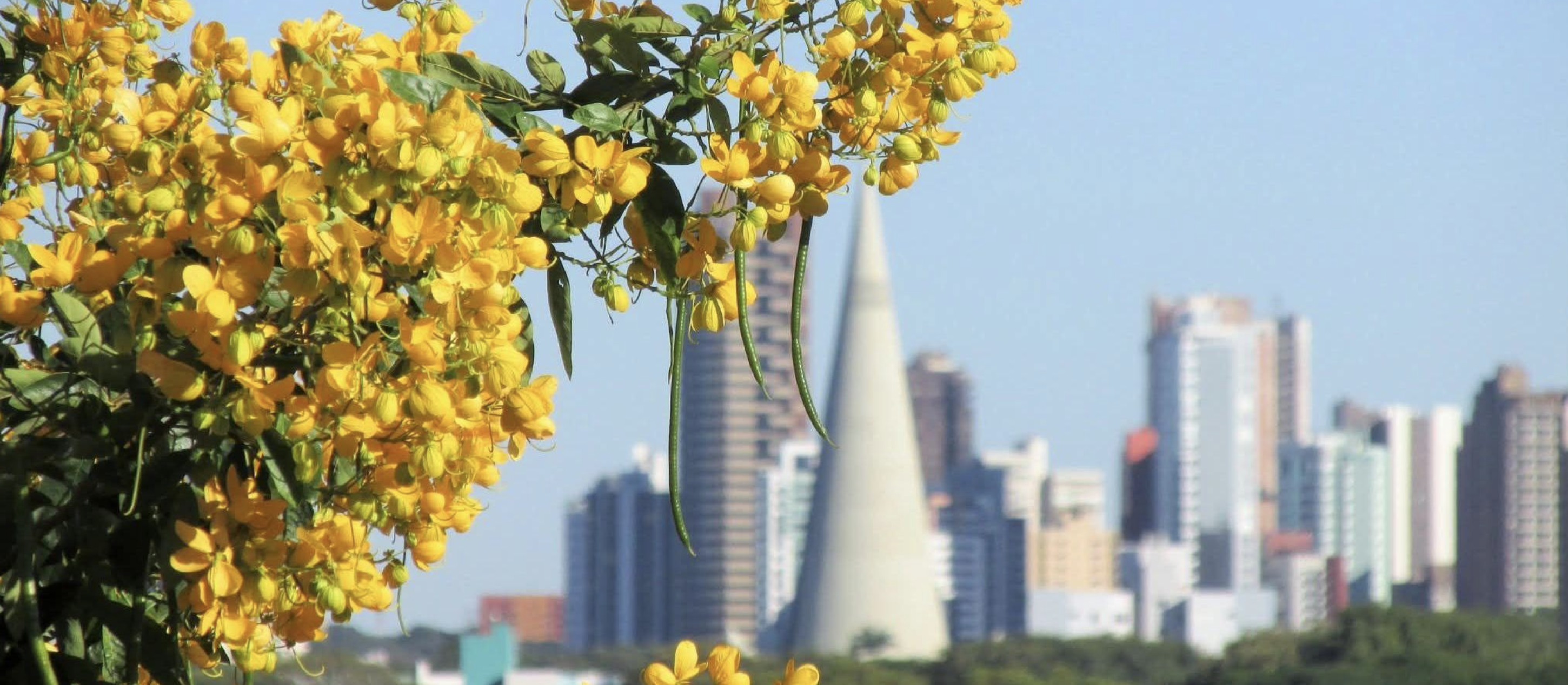 Confira a previsão do tempo para este domingo, 25, segundo o Simepar