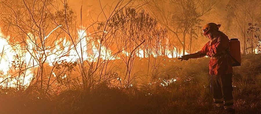 Queima de fios é a principal causa de incêndios ambientais em Maringá