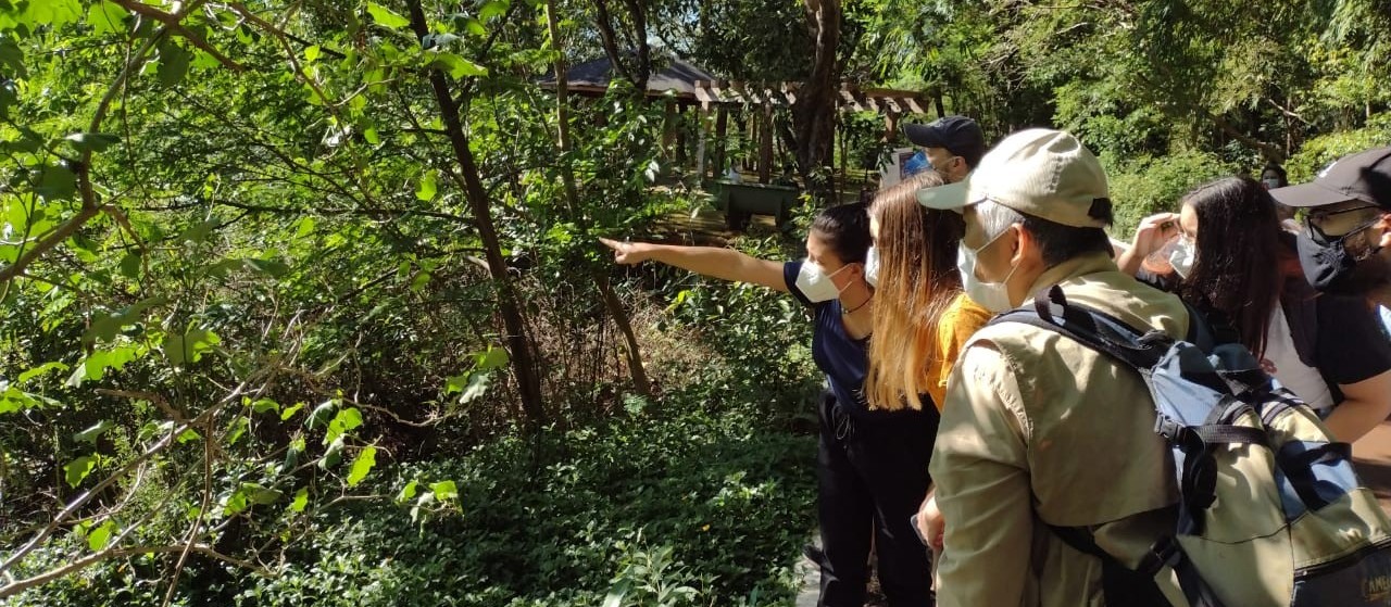 ‘Passaringá’ reúne observadores e entusiastas no Parque do Ingá