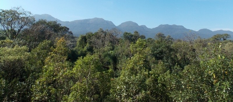 Legado das Águas: projeto prevê manutenção da floresta em pé