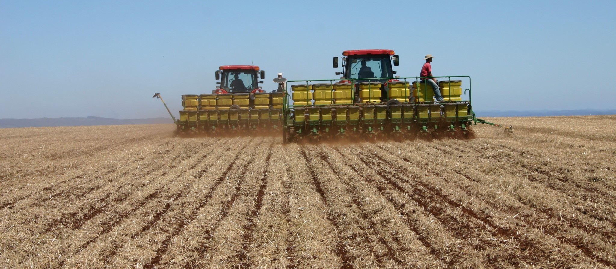 Agronegócio promete ter mais um ano de bom desempenho