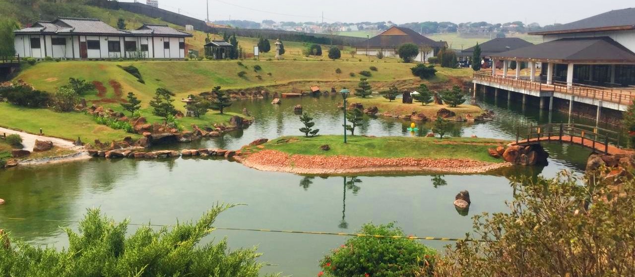 Depois de quase quatro meses, carpas voltam para o maior lago 