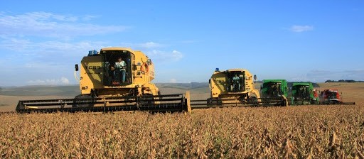 AgRural: colheita de soja atinge 31% da área no Brasil