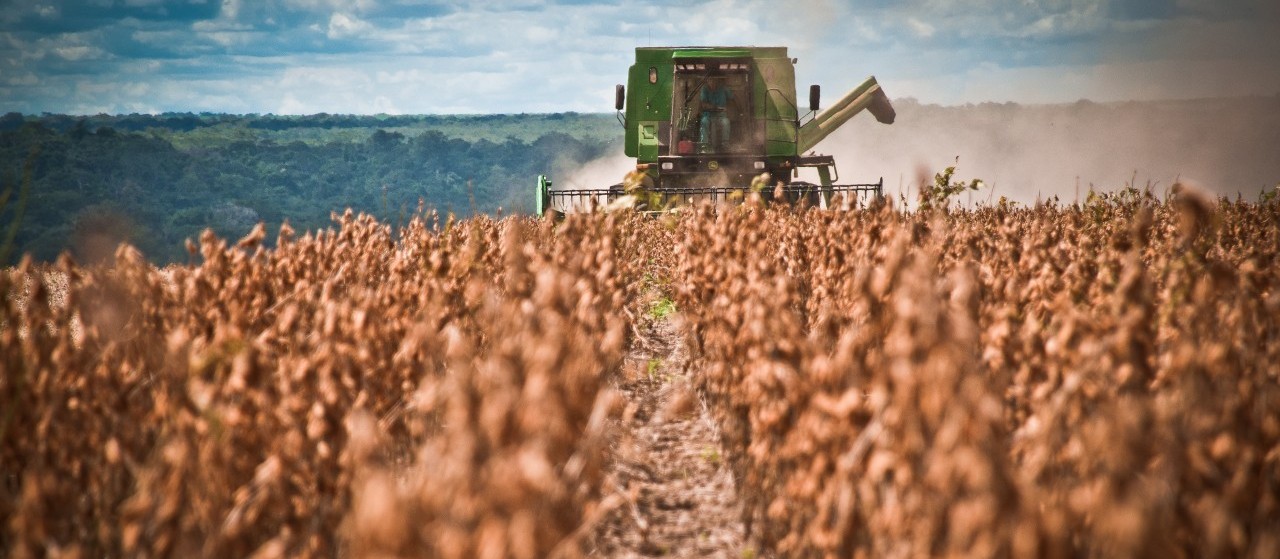 Soja custa R$ 77 em Maringá