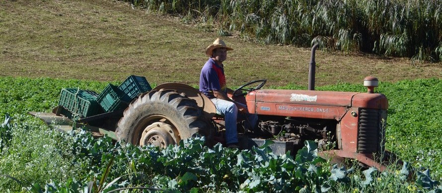 Produtores têm até dia 30 para aderir ao Funrural