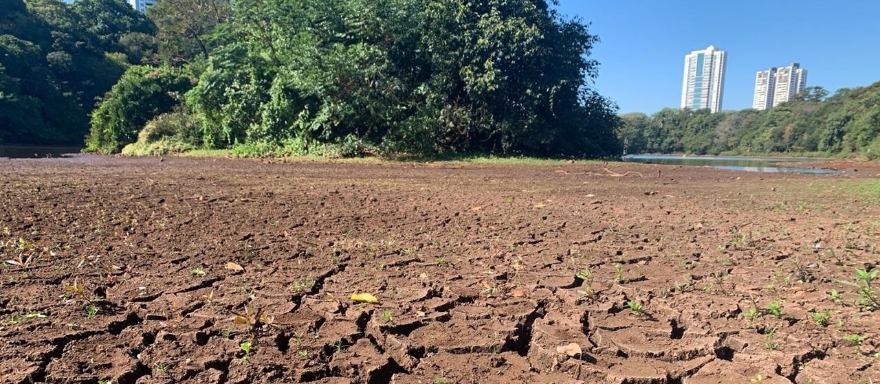 Vídeo: Seca permite atravessar lago do Parque do Ingá a pé