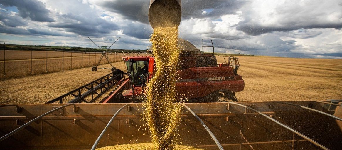 PIB do agronegócio brasileiro recuou novamente no segundo trimestre de 2022