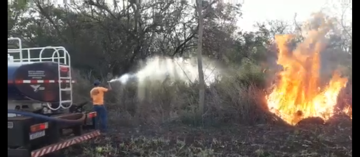 Vídeo: bombeiros combatem incêndio ambiental em Maringá