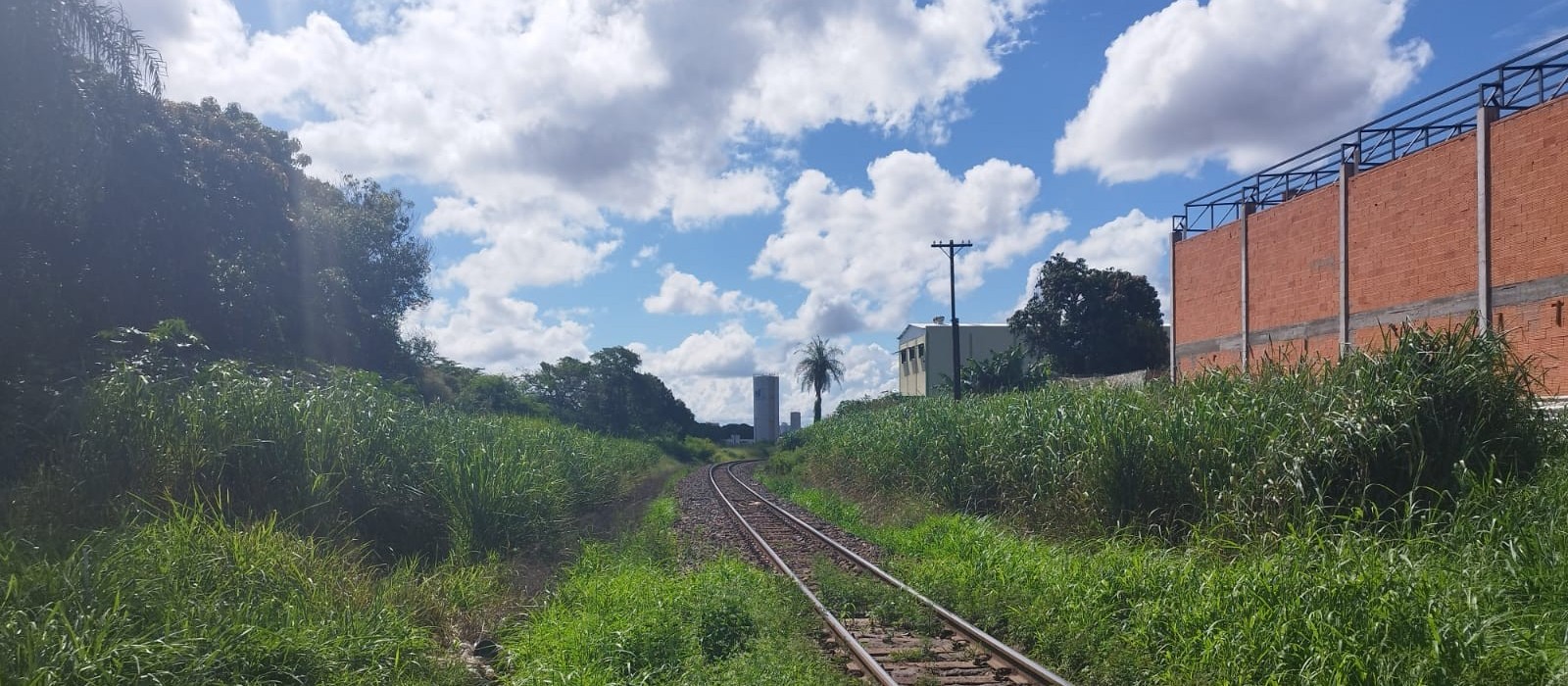 Prefeitura multa empresa Rumo em R$ 15 mil reais por conta do mato alto em linha férrea