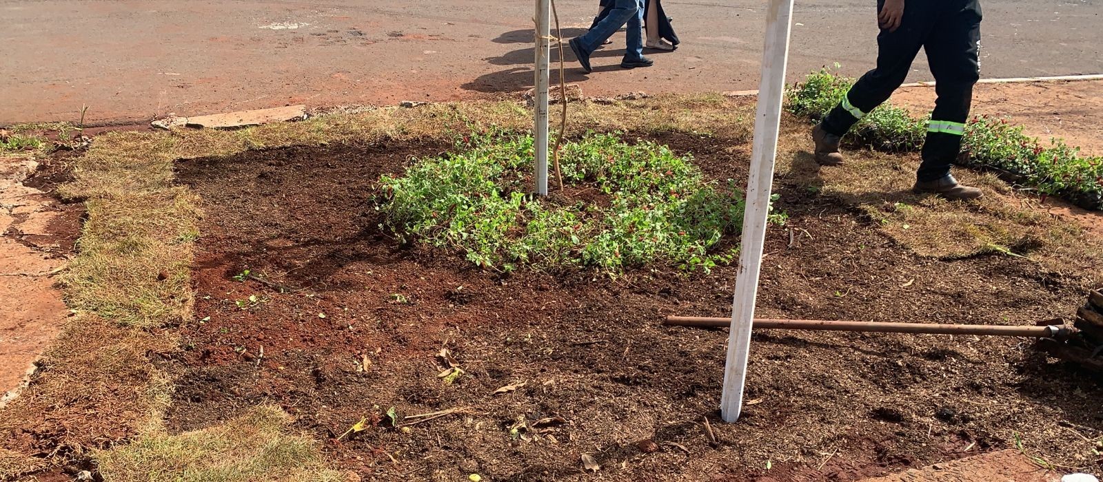 Projeto revitaliza áreas públicas para evitar o descarte de resíduos sólidos