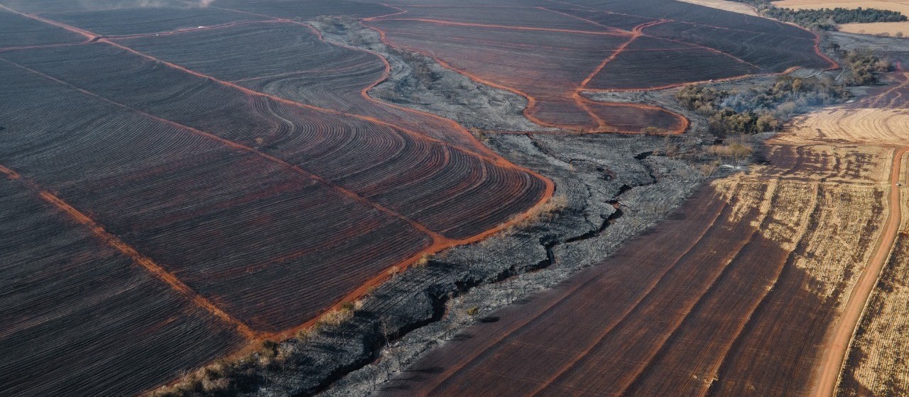 Incêndio de grandes proporções no noroeste é destaque do CBN Paraná