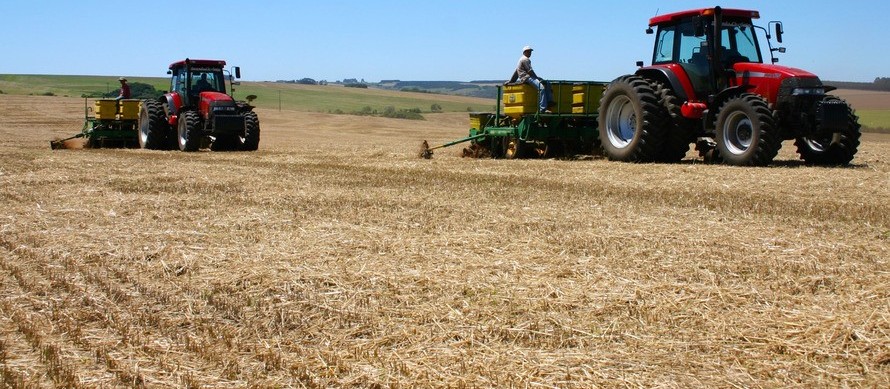 Ausência de chuvas preocupa produtores do Paraná 