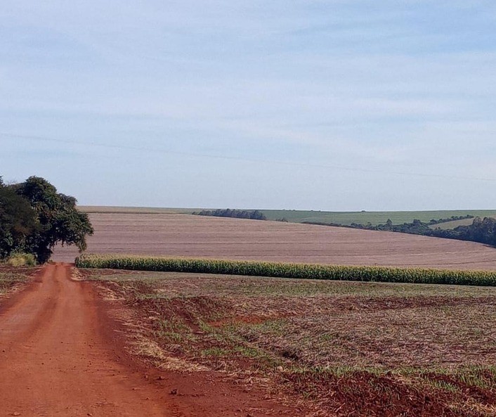 Vazio sanitário da soja começa em 10 de junho, alerta Agricultura