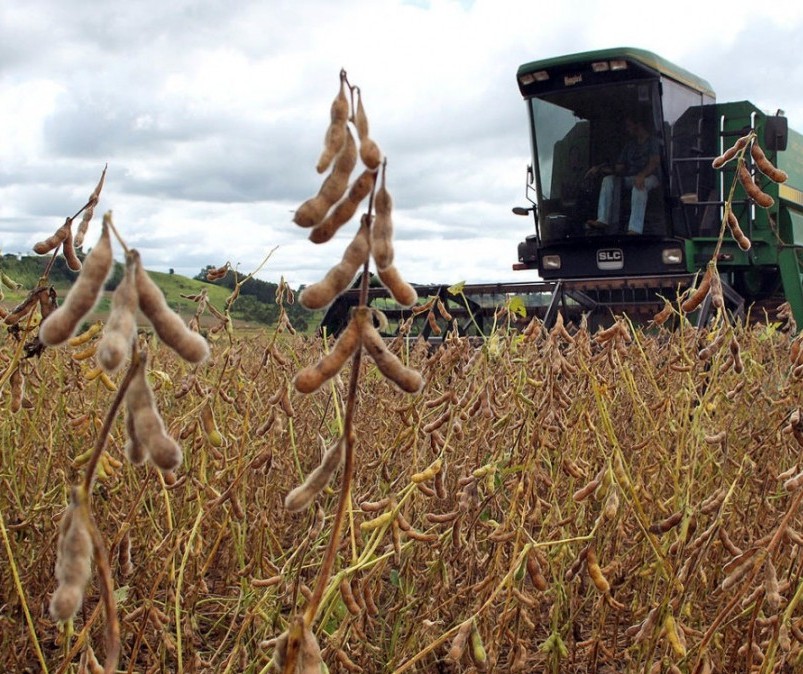 Saca da soja custa R$ 68 em Maringá