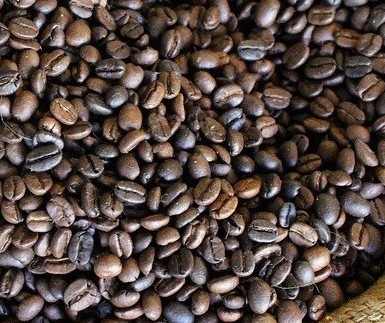 Café em coco custa R$ 6,16 o quilo em Maringá