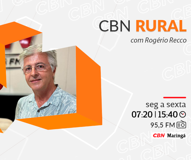 Café, uma cultura fundamental para o início de Maringá