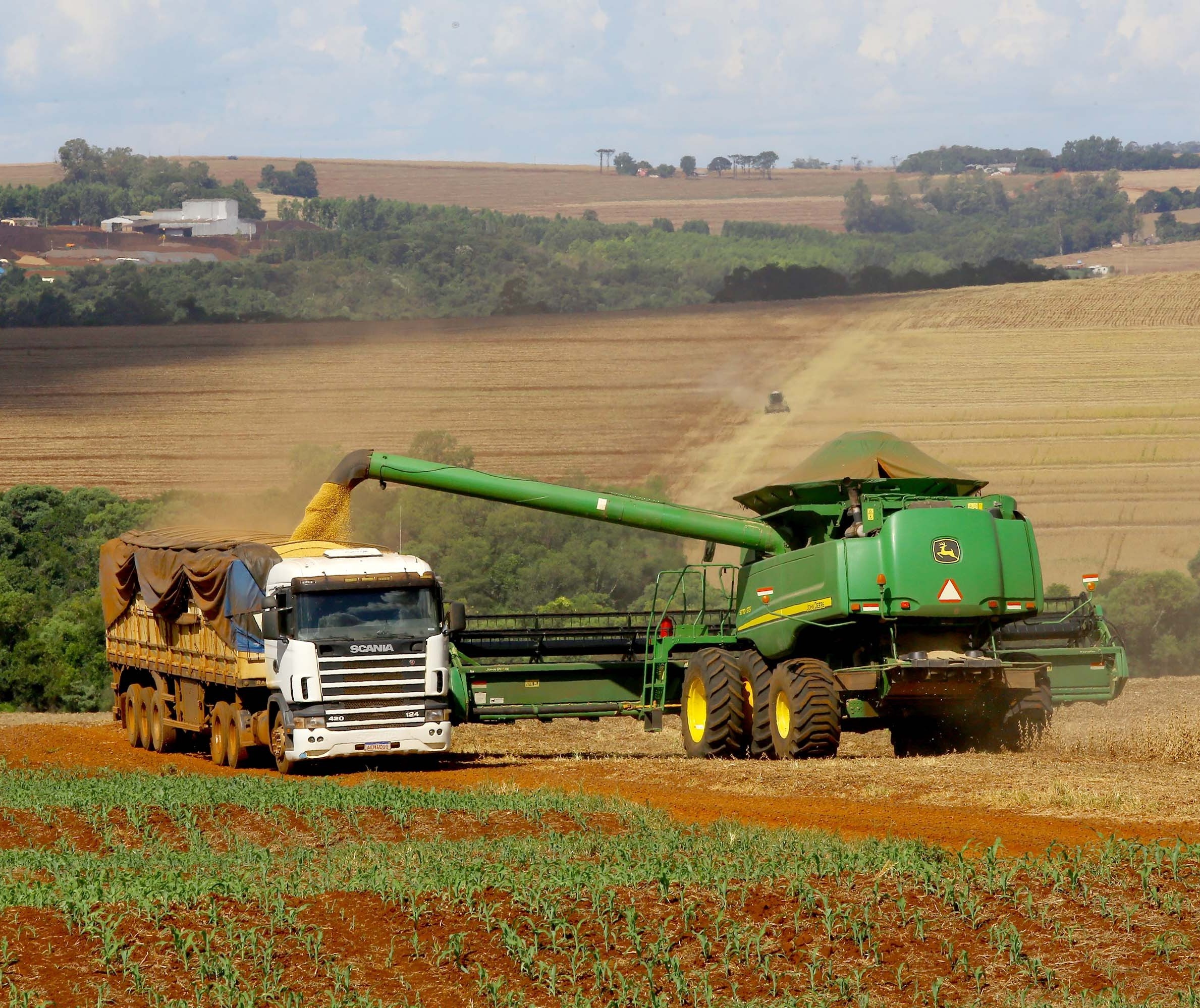 Soja em grão, farelo e óleo devem atingir U$58 em exportações no ano de 2022