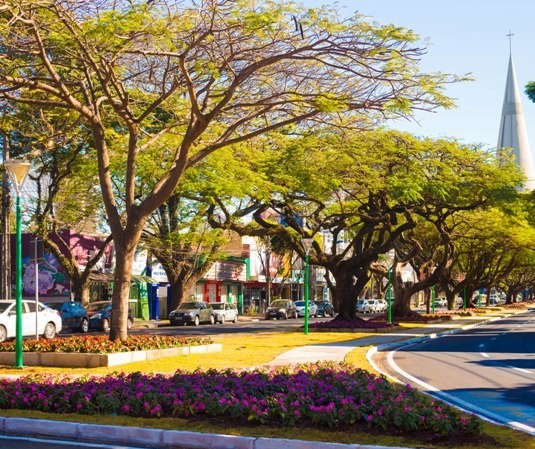 Céu claro e máxima de 29ºC em Maringá neste feriado, diz Simepar