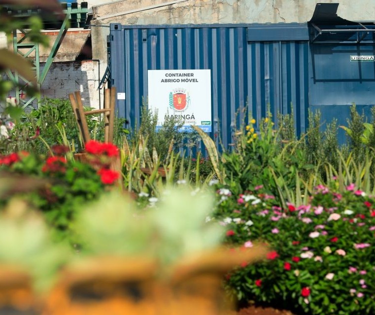 Festa das Flores começa nesta quinta (13), no Jardim Piatã