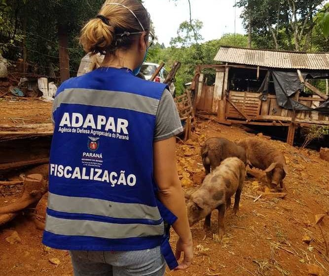 Adapar mantém ritmo para garantir status sanitário e alimentos