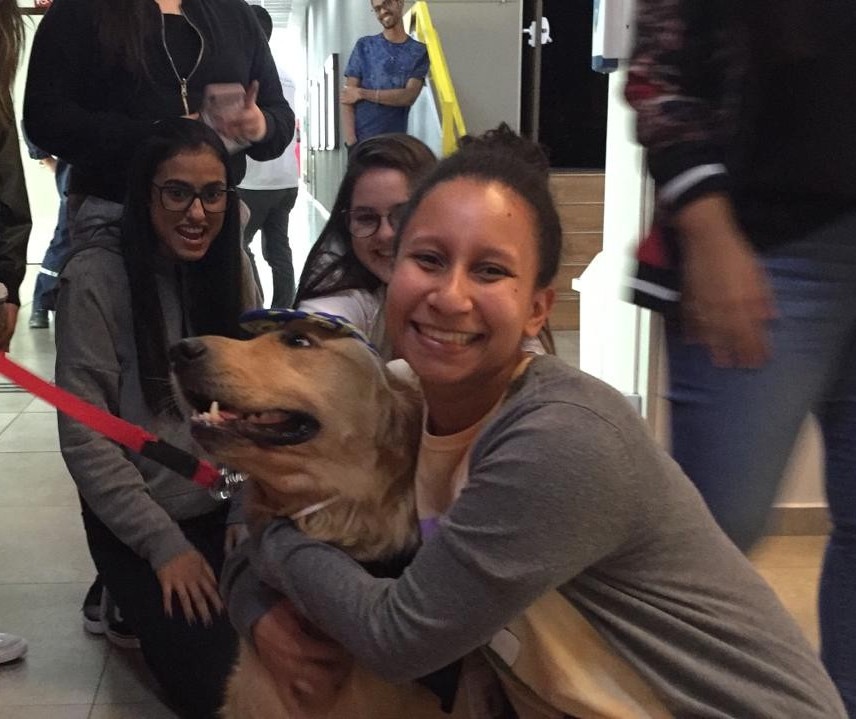 No Dia Internacional do Abraço cão terapeuta visita estudantes