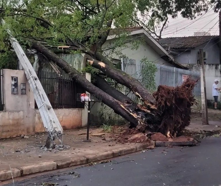 Microexplosão: entenda o fenômeno que causou temporal com estragos em Maringá