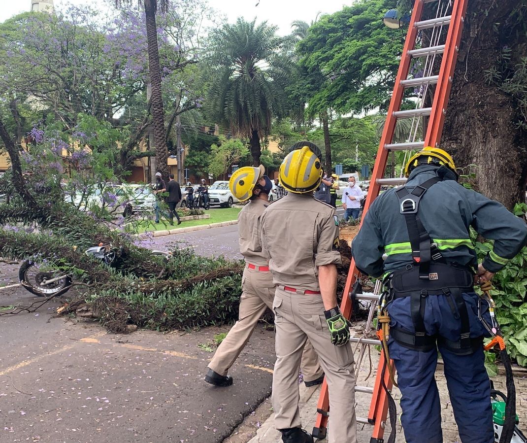 Árvore cai em cima de motociclista no centro de Maringá