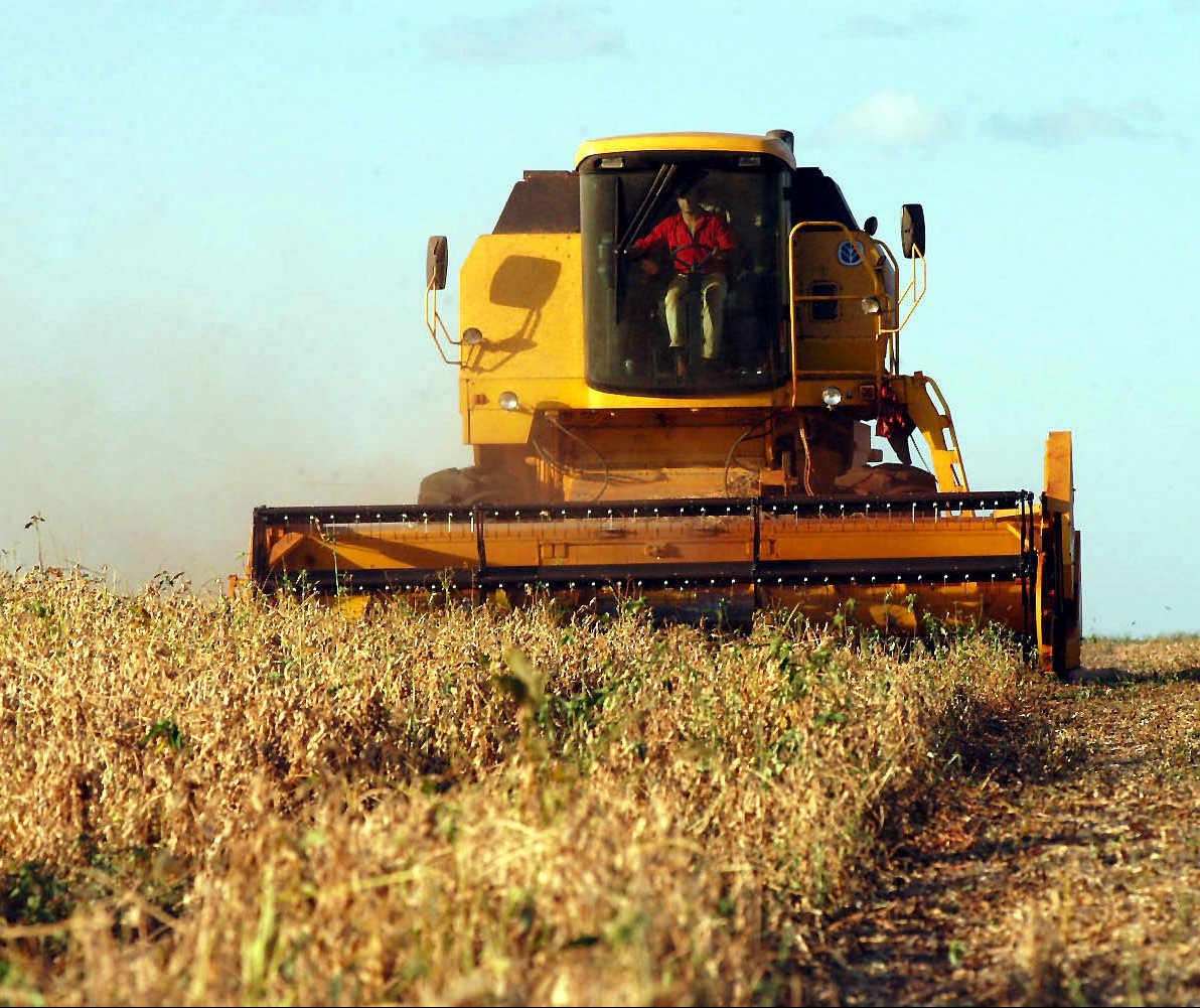 Paraná ainda patina na colheita da soja